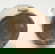 item-210216053=4