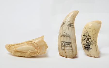 Three Carved Whale Teeth