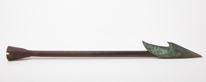 Harpoon