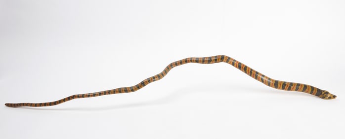 Root Carving of a Snake