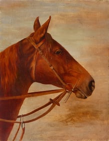 Side Profile of a Horse