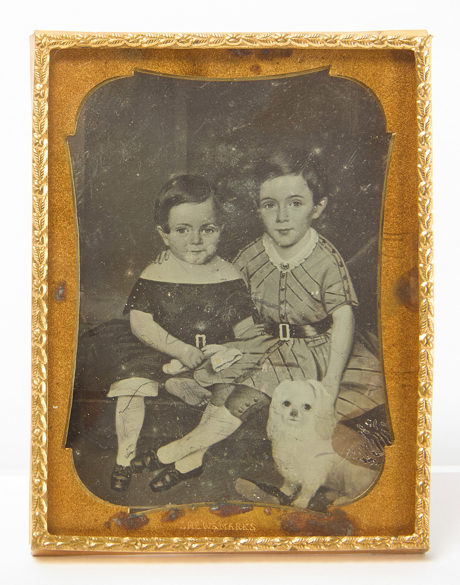 Folk Art Daguerreotype Portrait of Two Children with a Dog - Shew & Marks (1 of 2)
