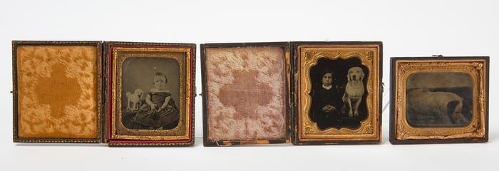 Three Cased Images with Dogs