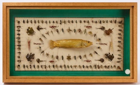 Framed Display of Bait and Lures