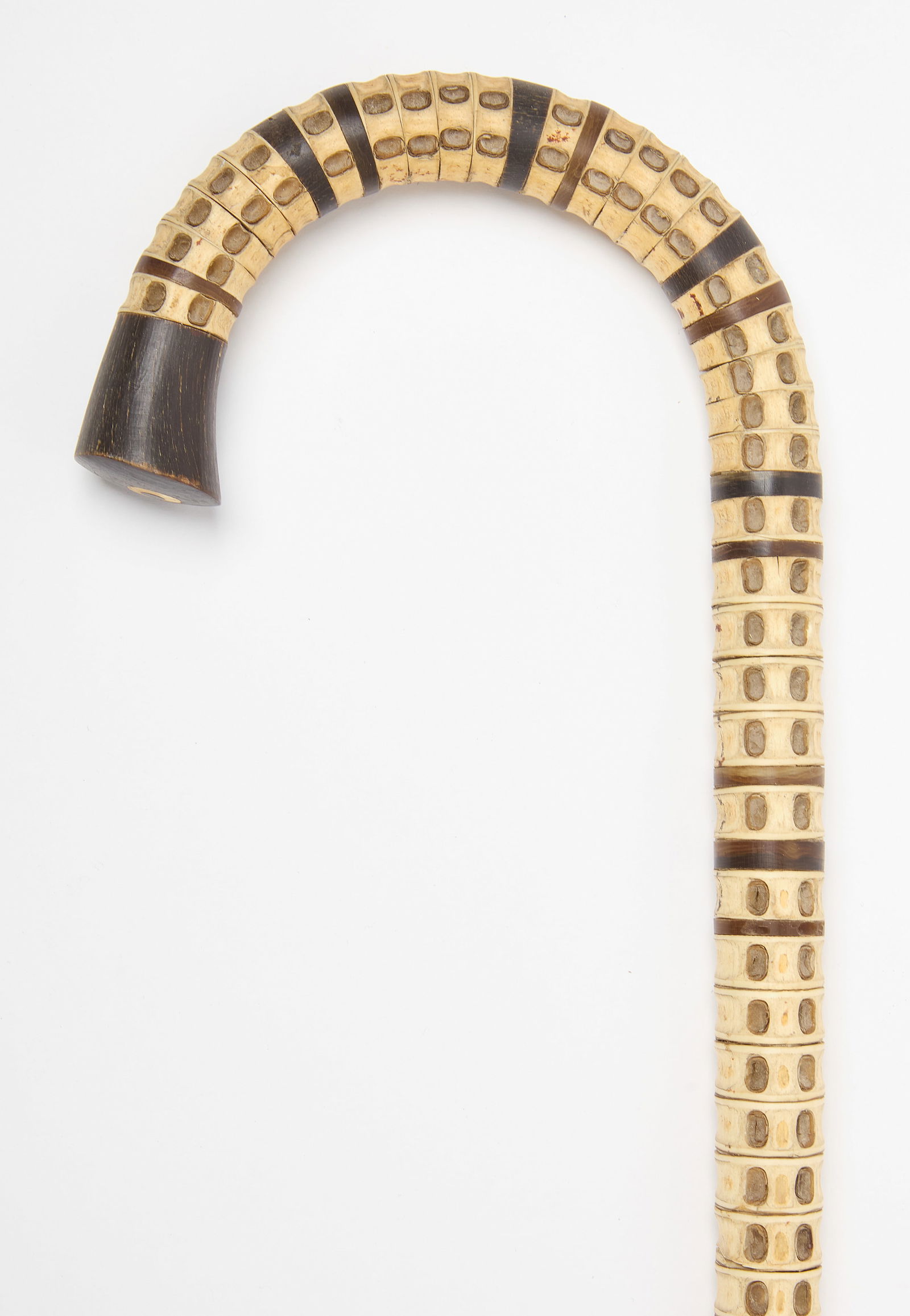 Shark Vertebrae Cane (1 of 3)