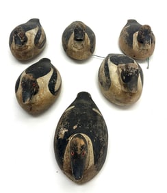 Rig of Six Goldeneye Decoys