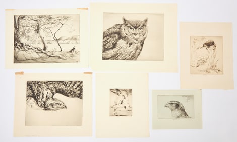 Six Aviary Etchings by Henry Emerson Tuttle