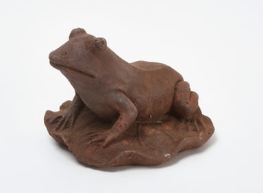 Garden Frog on Lilypad