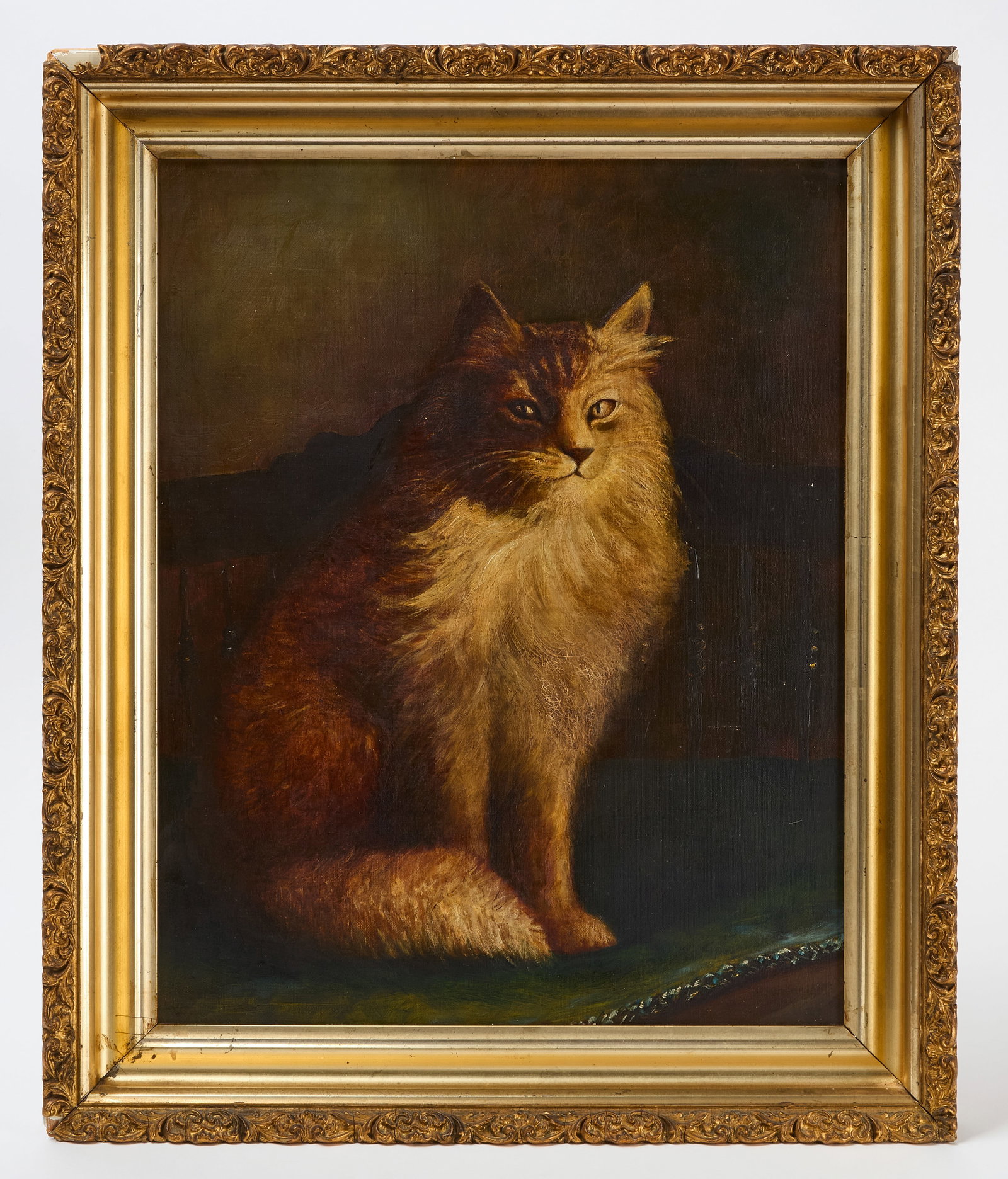 Portrait of a Cat: Portrait of a cat sitting on a bench. Oil on canvas in a period gesso-mounted frame. Unsigned. American, late 19th century. Frame: H 24-1/4 in. W 20-1/4 in. Canvas: H 19-1/2 in. W 15-1/2 in.