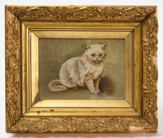 Portrait of a White Cat