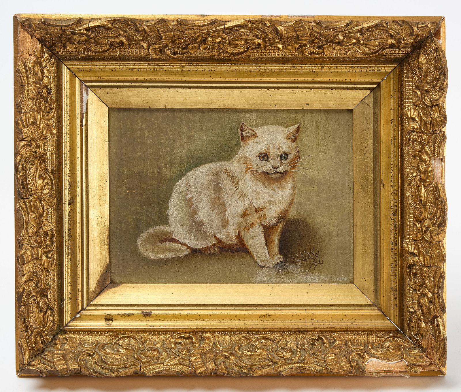 Portrait of a White Cat (1 of 3)