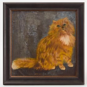 Portrait of a Fluffy Orange Cat 'Honey Boy'