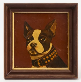 Portrait of a French Bulldog