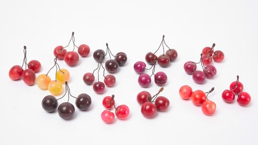 Group of Stone Cherries