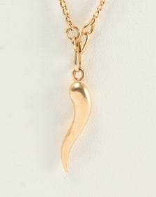 10k Gold Cornicello Horn Necklace