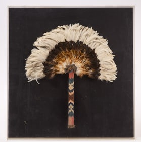 Large Framed Feather Fan