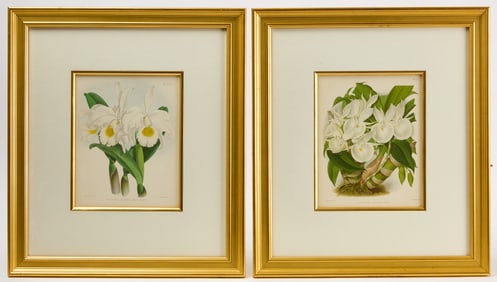 J.N. Fitch - Pair of Chromolithographs of Flowers