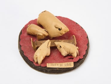 Pig and Piglets Penwipe