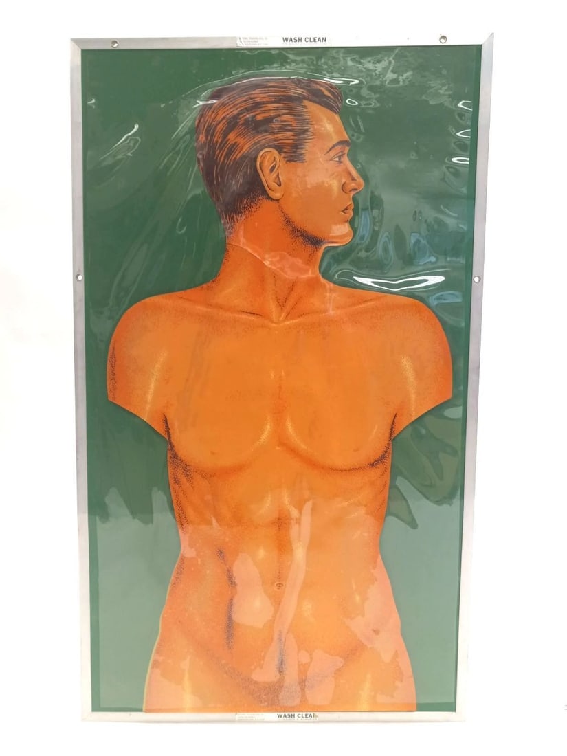 Anatomical Model of the Human: Anatomical model of the human (male) by National Teaching Aids, Inc. (New York). Several layers of adhesive plastic detail the human body. Includes original case and booklet. 1968 Copyright.Case: L W