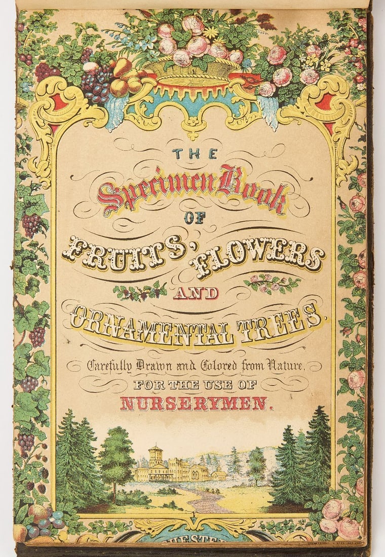 Antique American Horticultural Specimen Salesmen Book: Antique horticultural specimen salesmen book, "Specimen Book of Fruits, Flowers and Ornamental Trees / Carefully Drawn and Colored from Nature for the use of Nurserymen" meant for portable