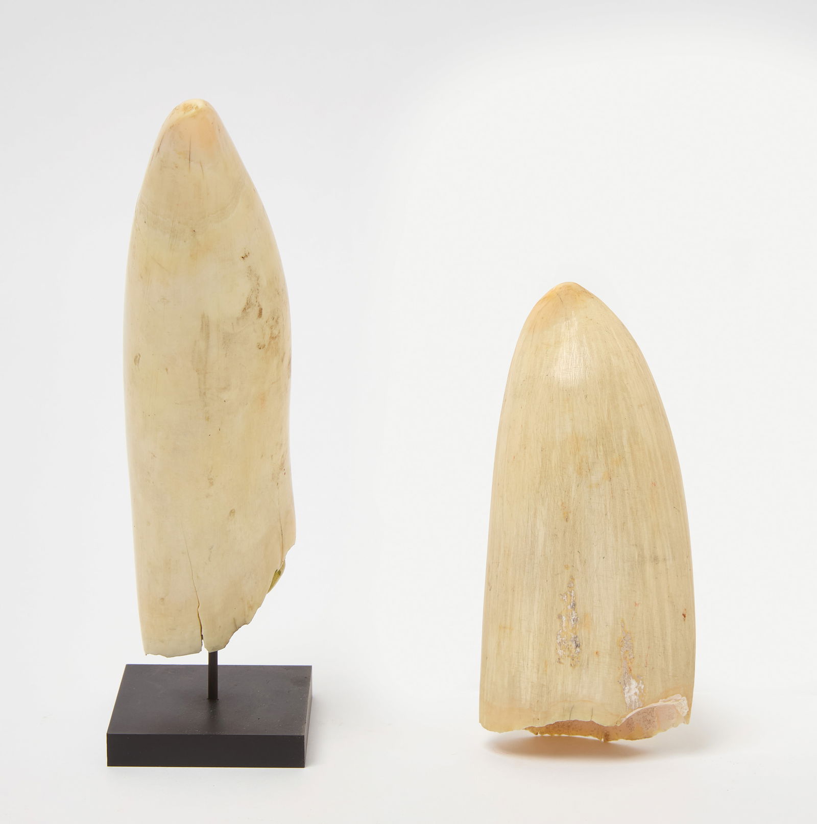 Two Marine Items - 3