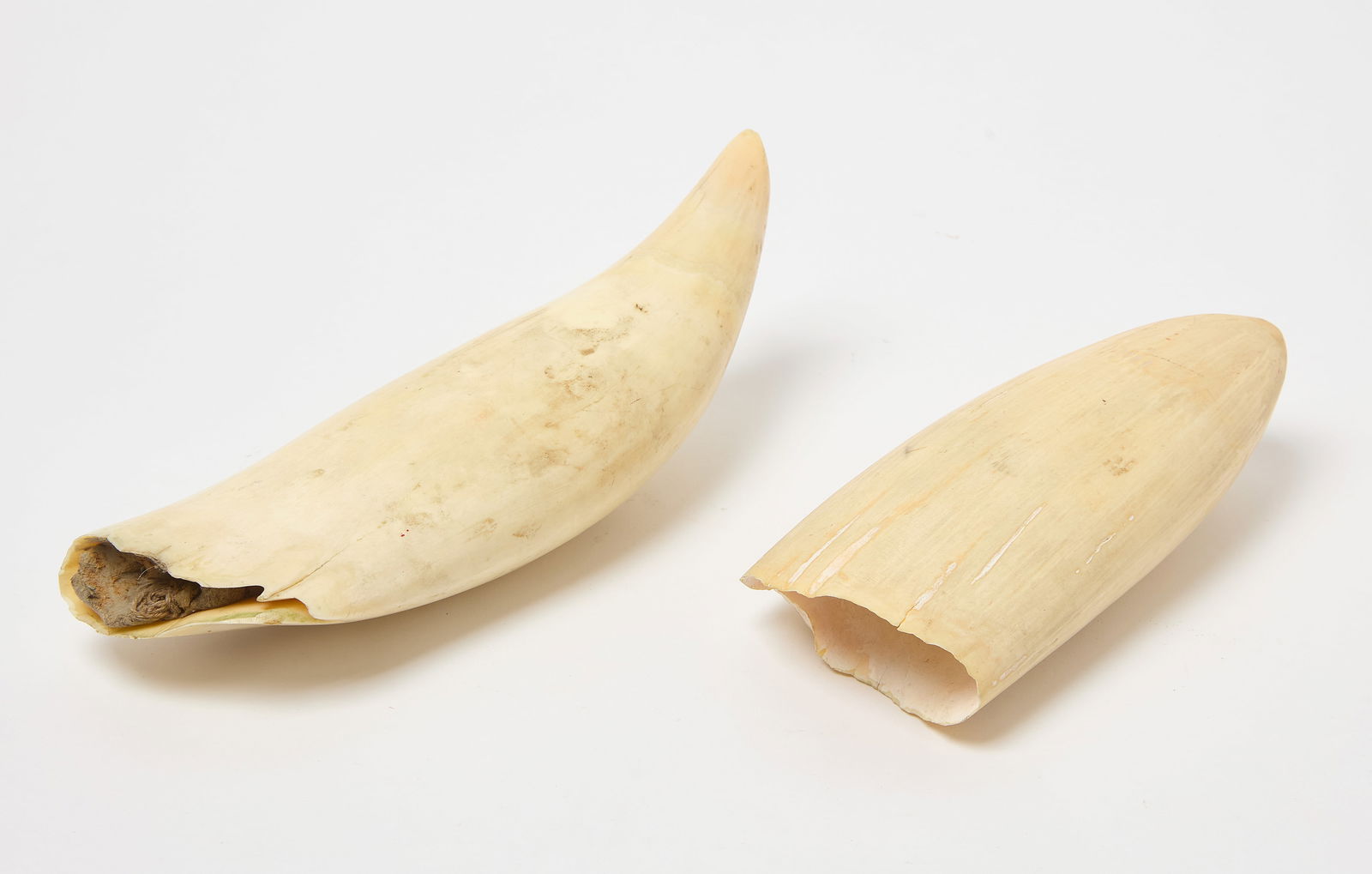 Two Marine Items - 4