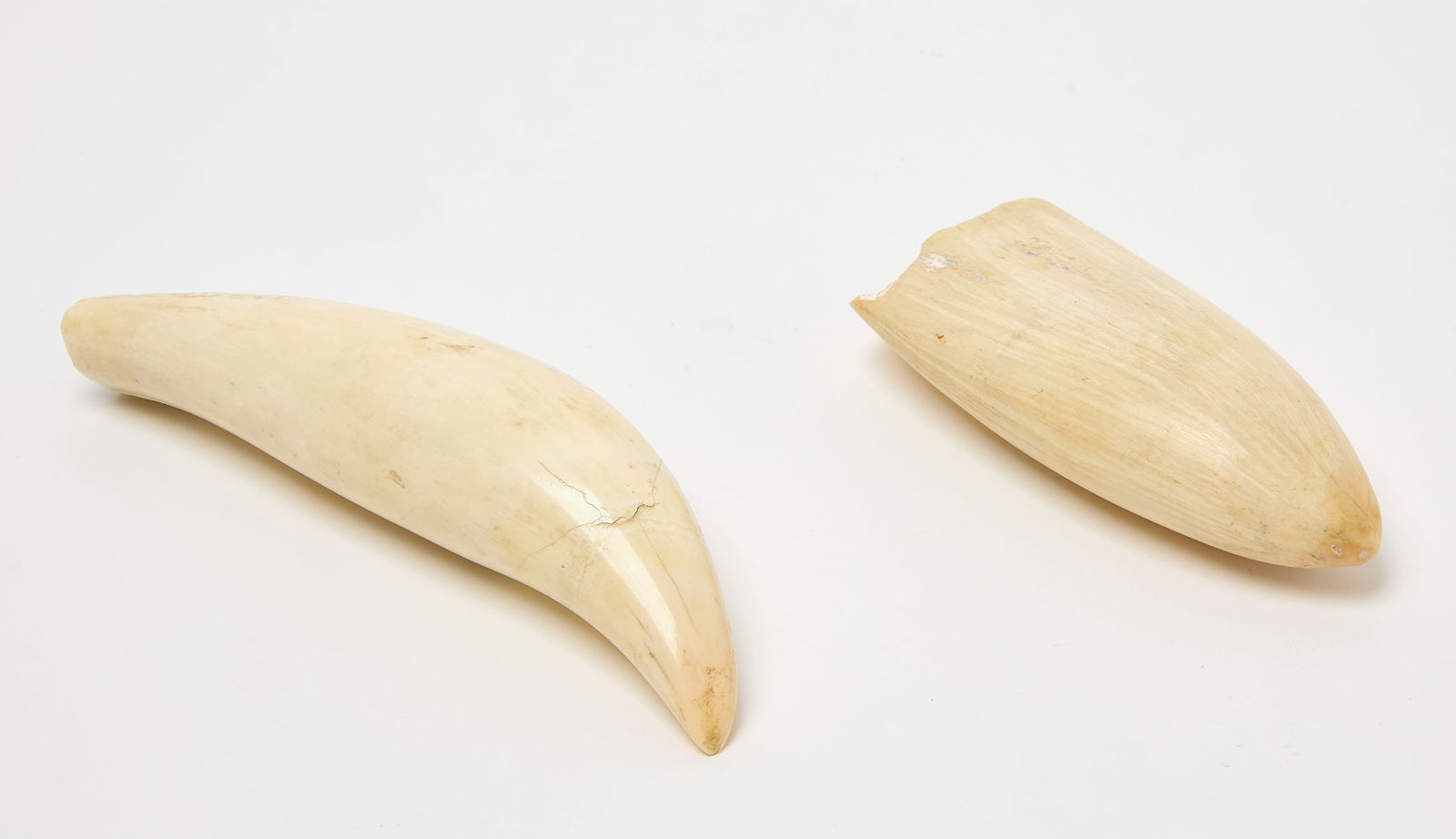 Two Marine Items - 5