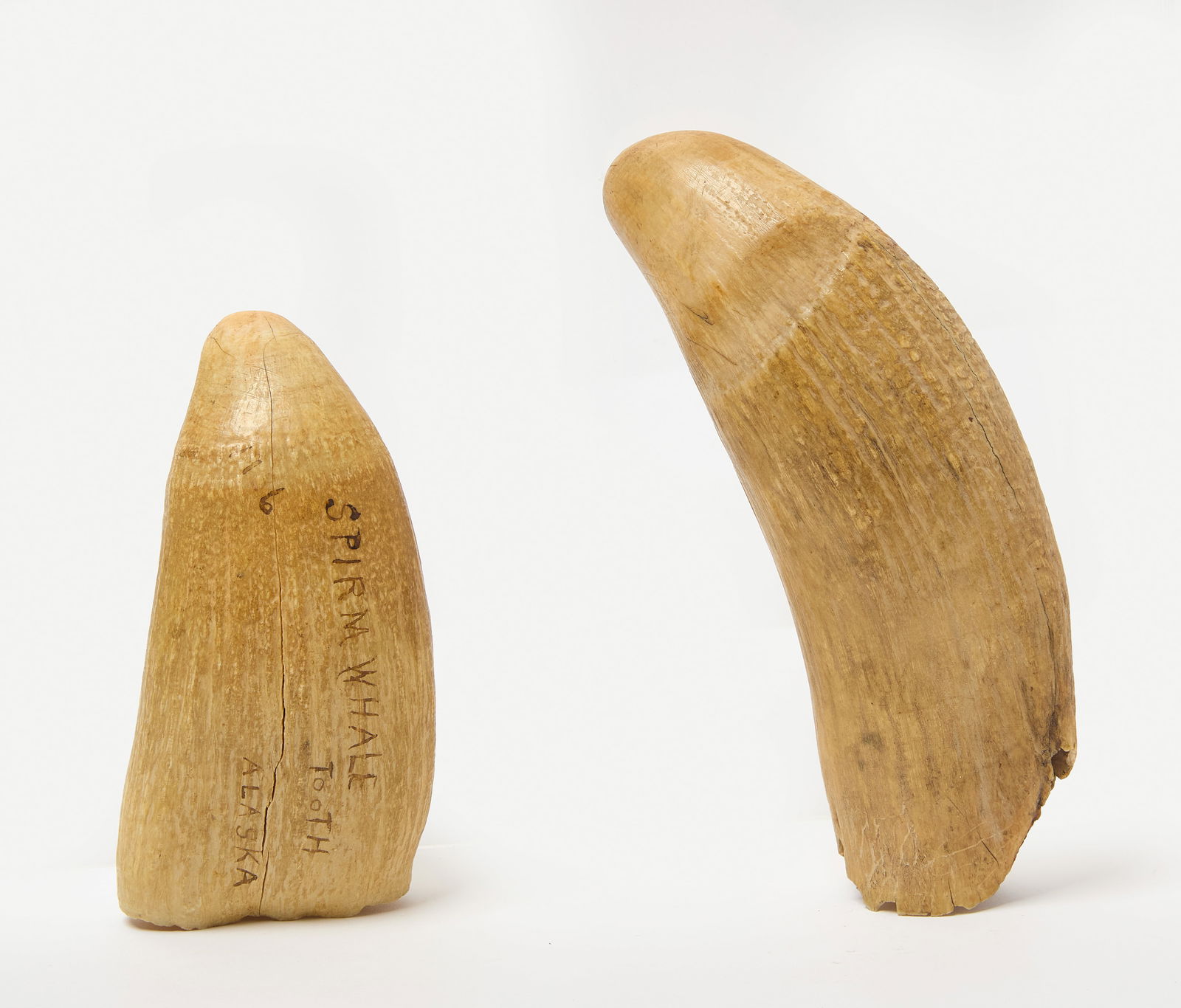 Two Marine Items - 2