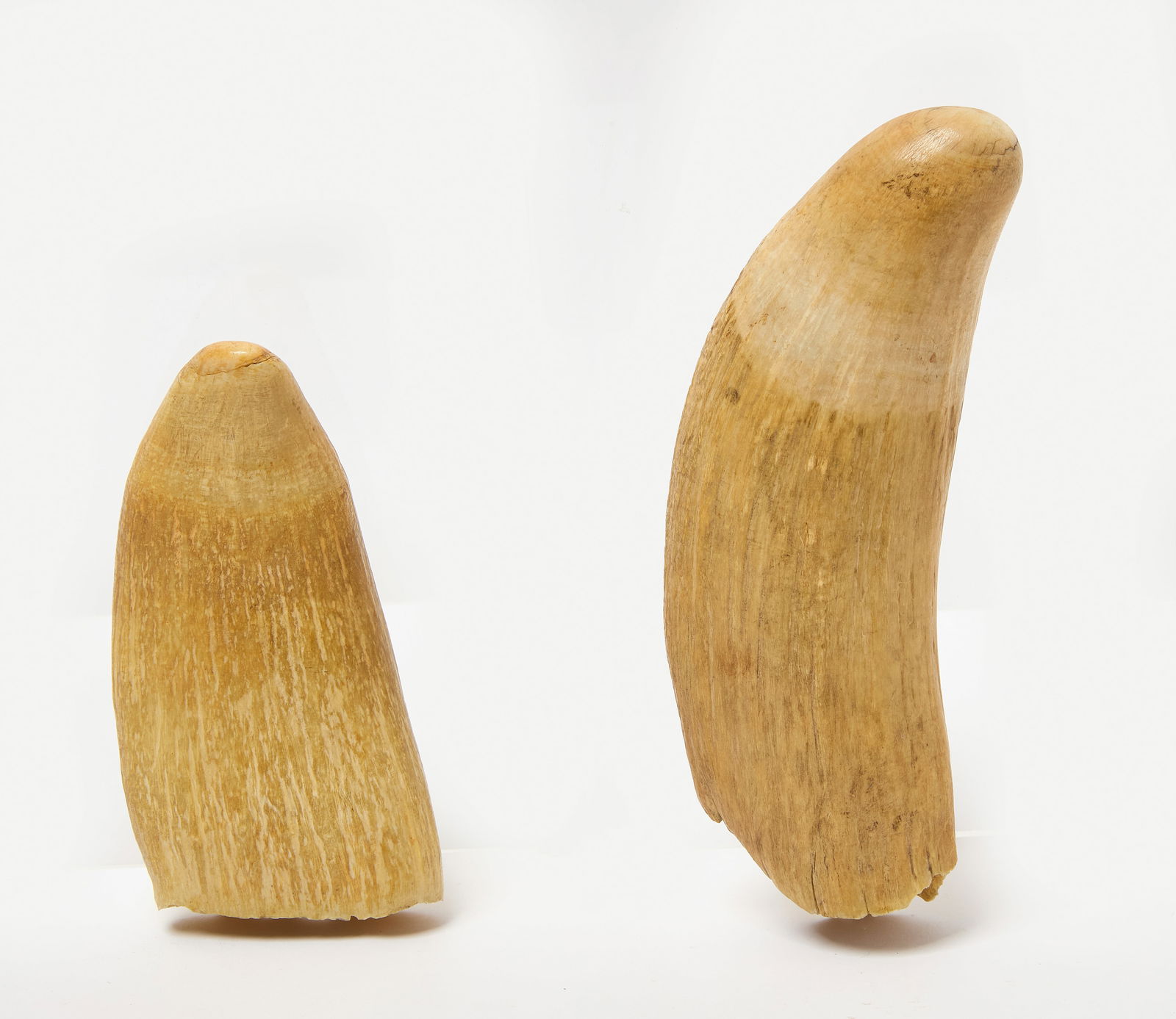 Two Marine Items - 3