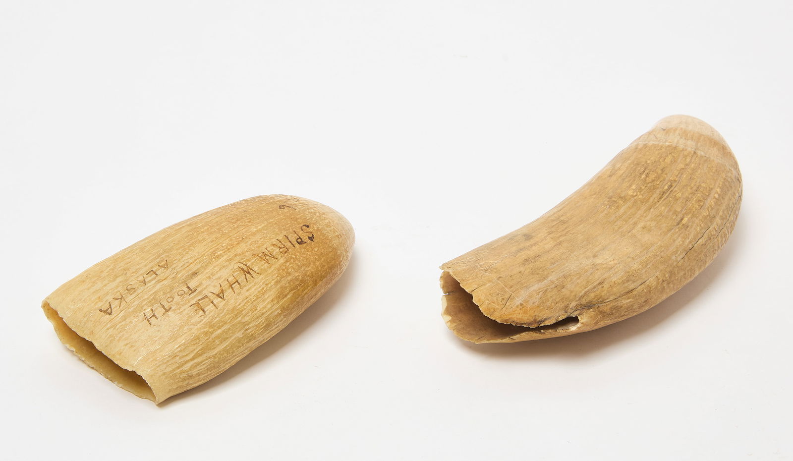 Two Marine Items - 4