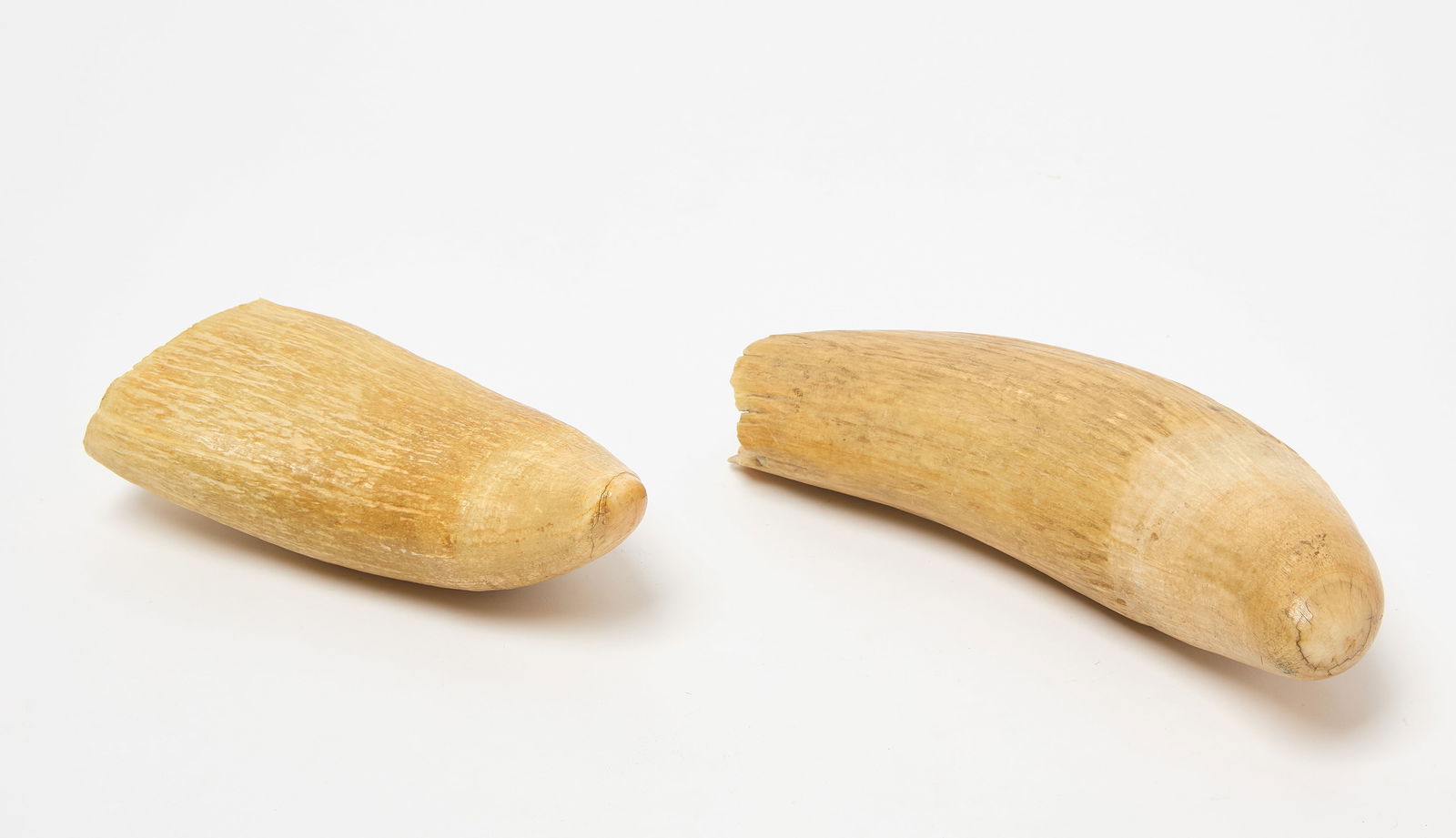 Two Marine Items - 5