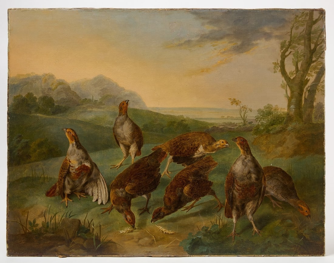 Stephen Elmer - A Covey of Partridges: Stephen Elmer (attributed) - A Covey of Partridges, Oil on canvas. 18th century. H 28 in. W 36 in.