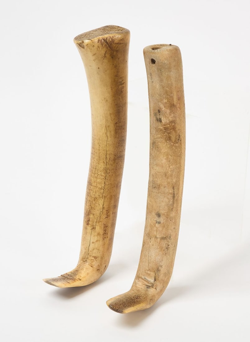 Two Carved Bone Hide Scrapers: Two Native hide scrapers. Carved bone. Palins region, 19th century.L each approx: 13 in.