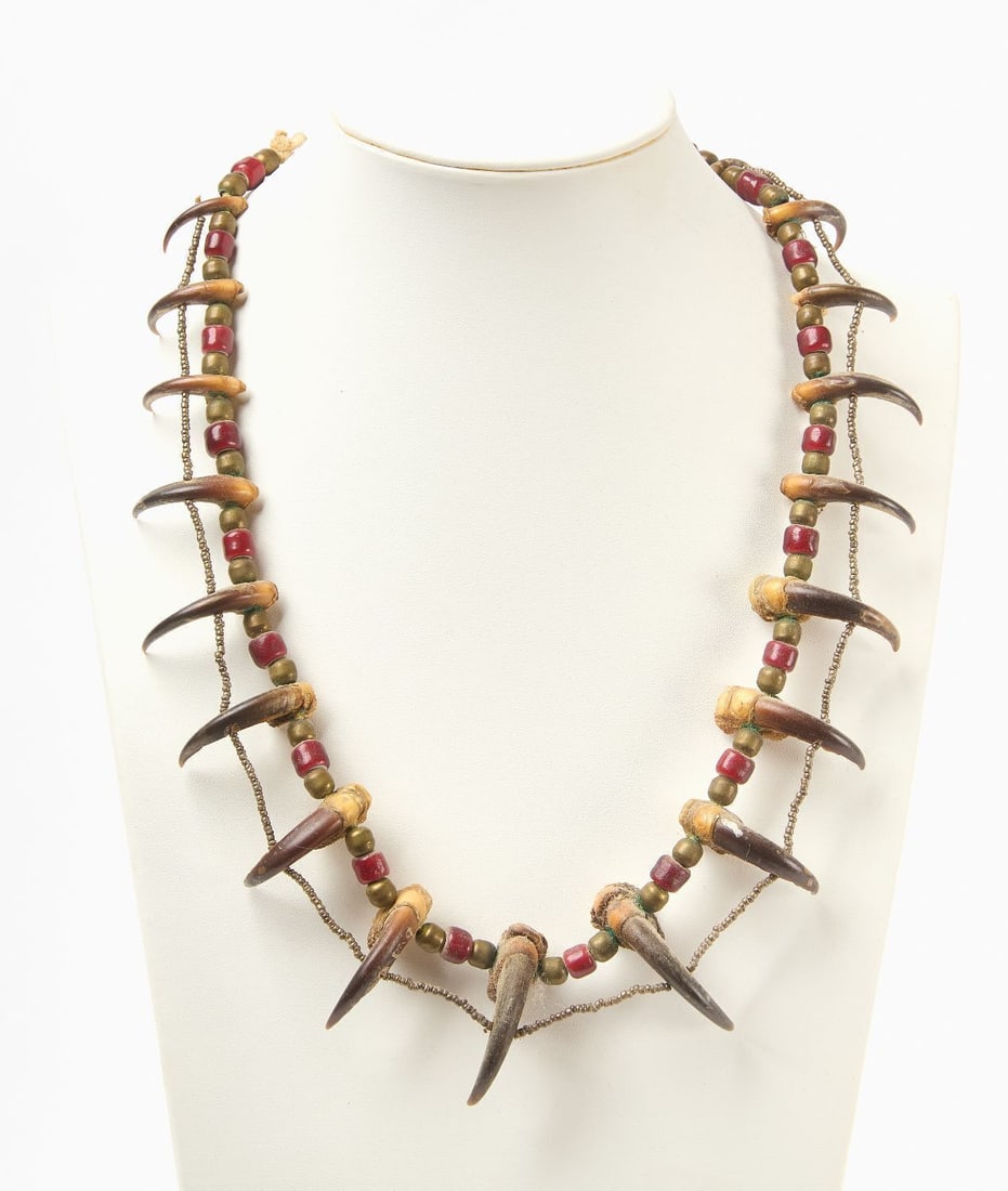 Sioux Claw Necklace (1 of 2)