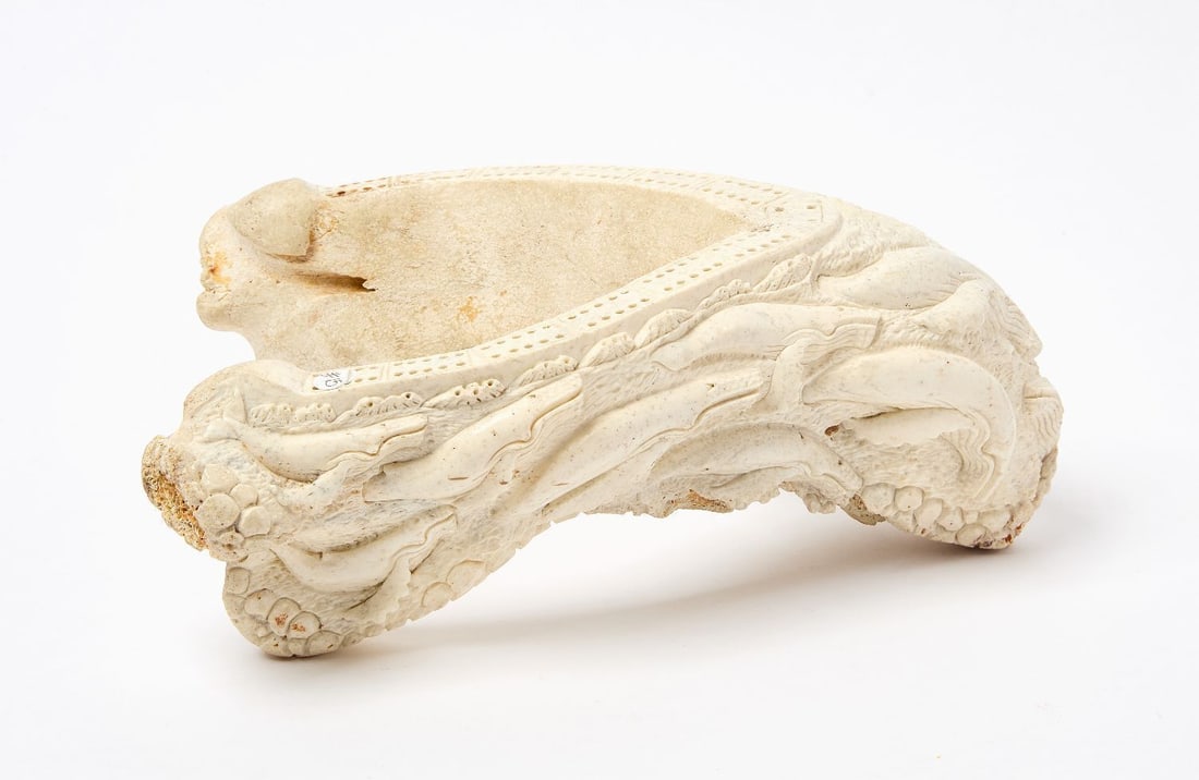Walrus Jaw Bone Cribbage Board (1 of 4)
