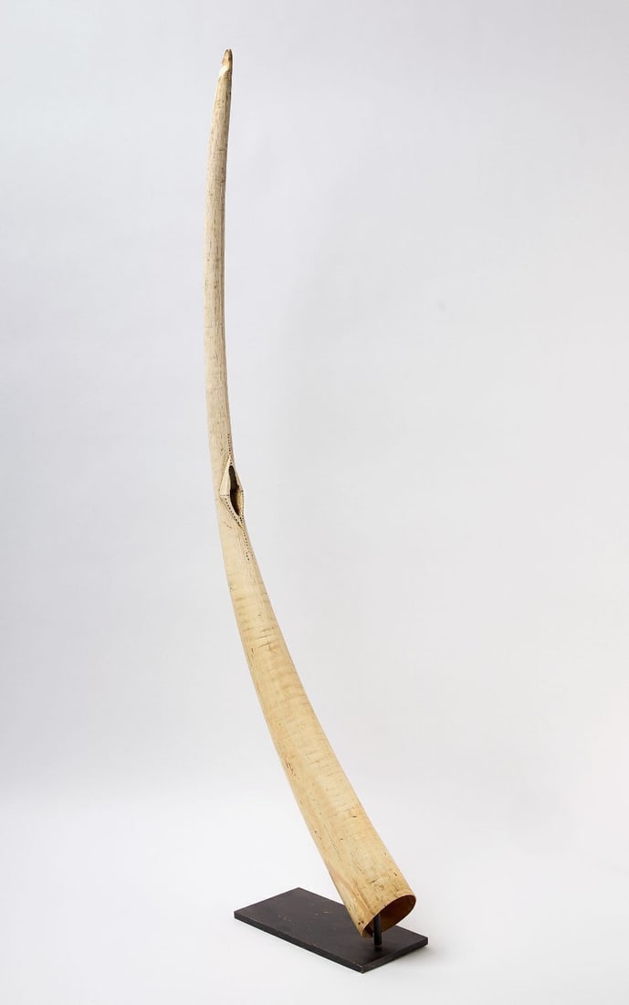Large Oliphant: Large oliphant (or olifant) instrument. Carved bone. Africa, circa 1895. Custom metal stand included as shown. L 57 in.