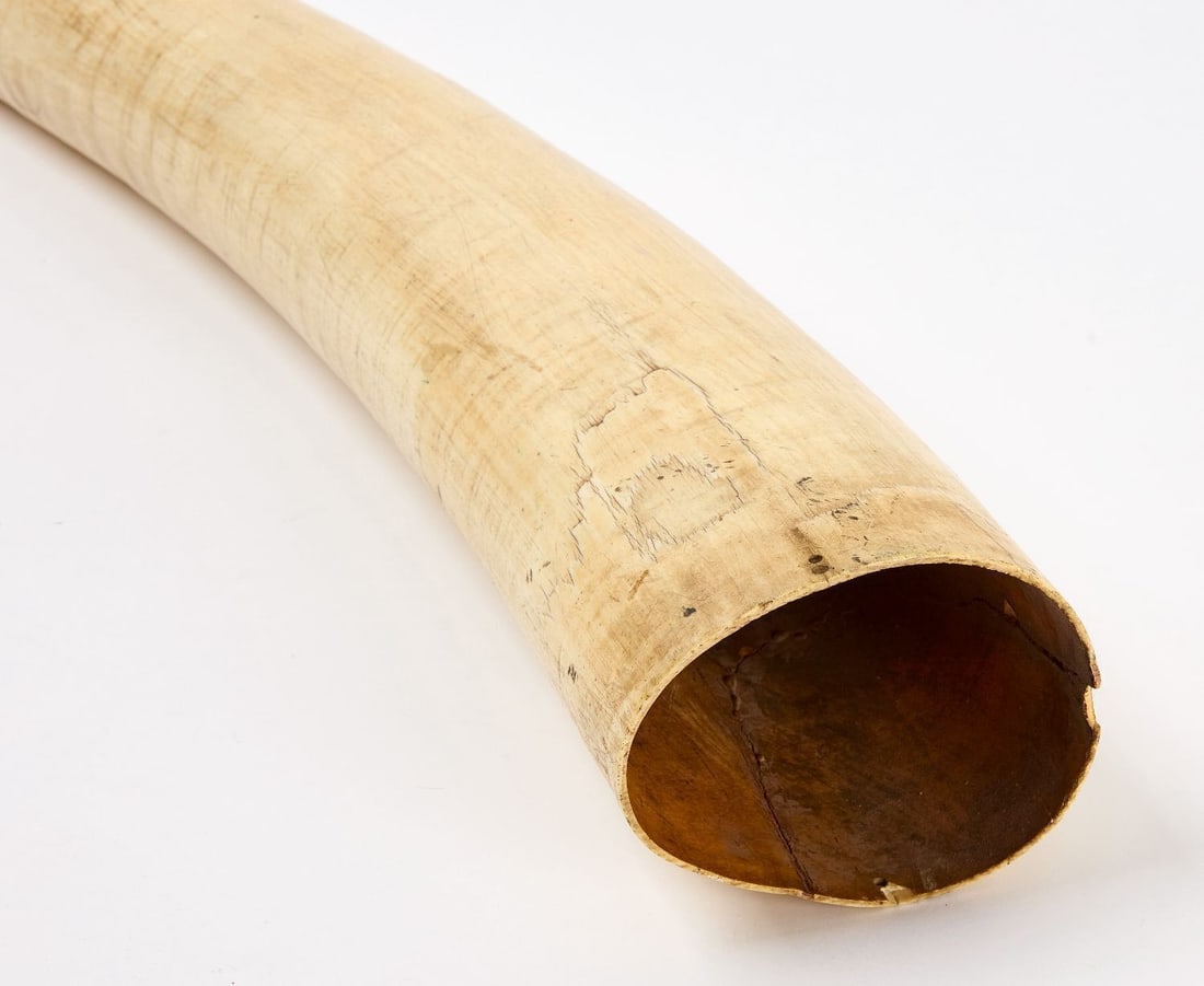 Large Oliphant - 3