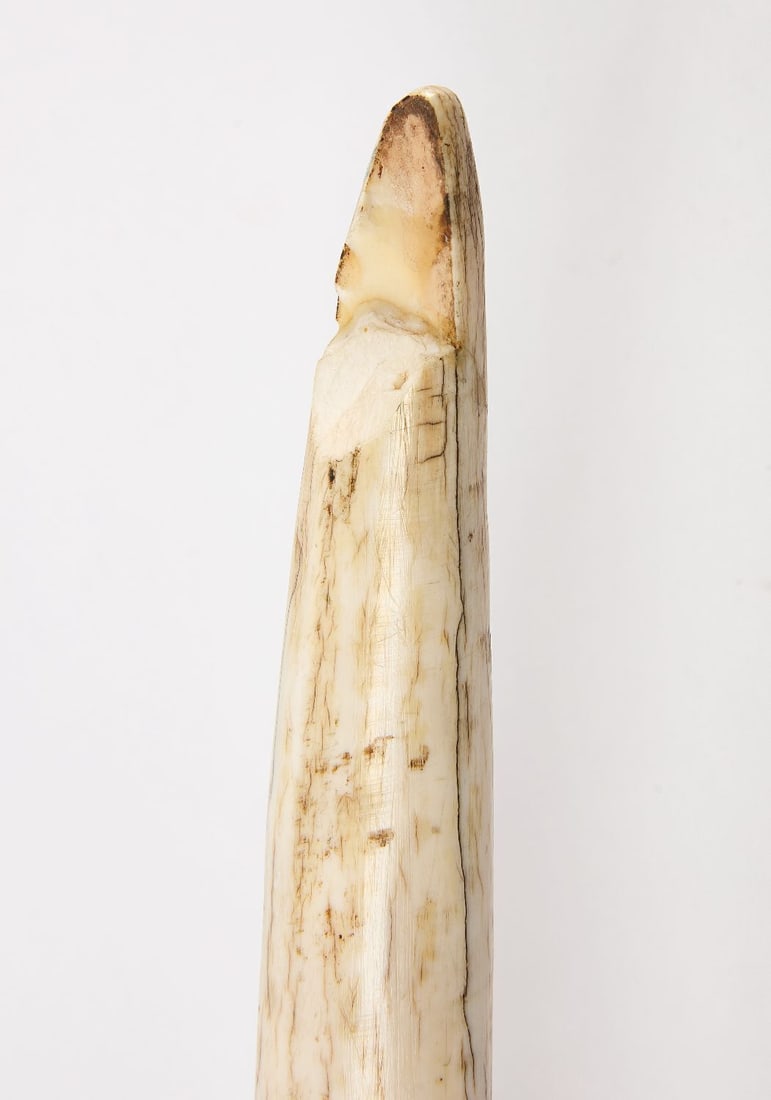 Large Oliphant - 4