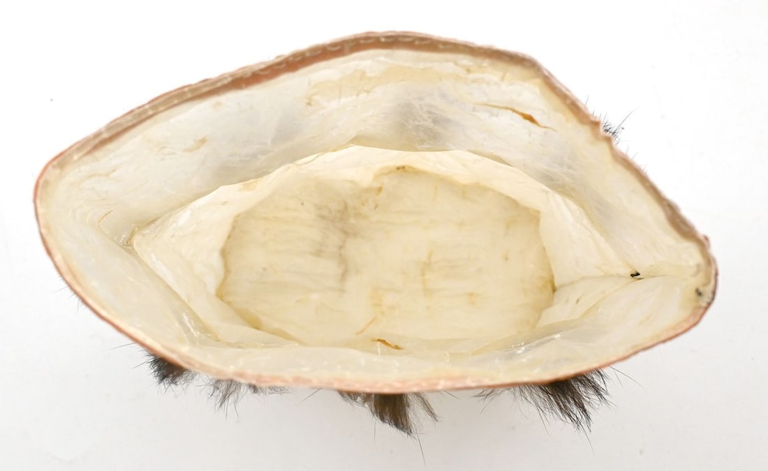 Grouping of Inuit and Native American Objects, Including Isaaci Etidloie Caribou Drum Dancer - 8