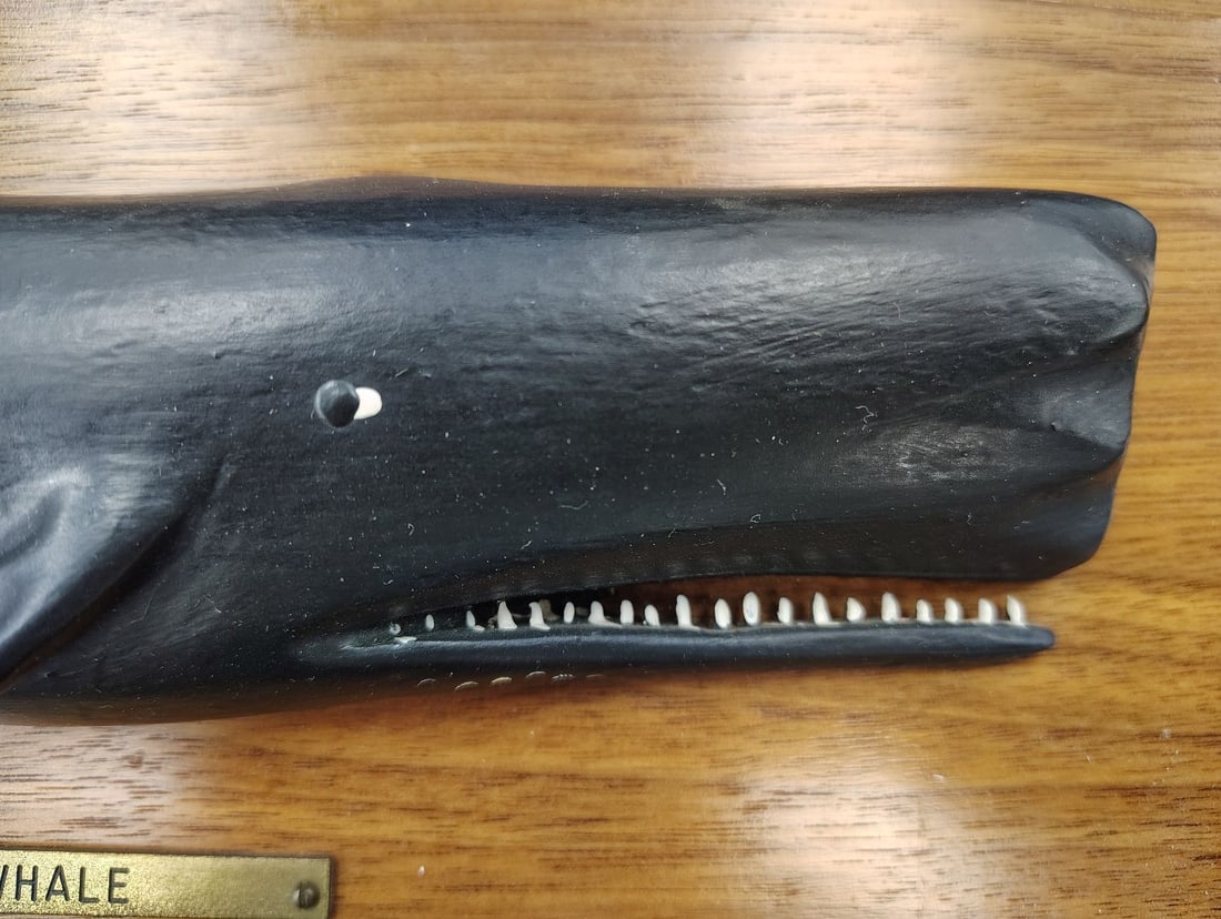 Carved Wood Sperm Whale Plaque - 3