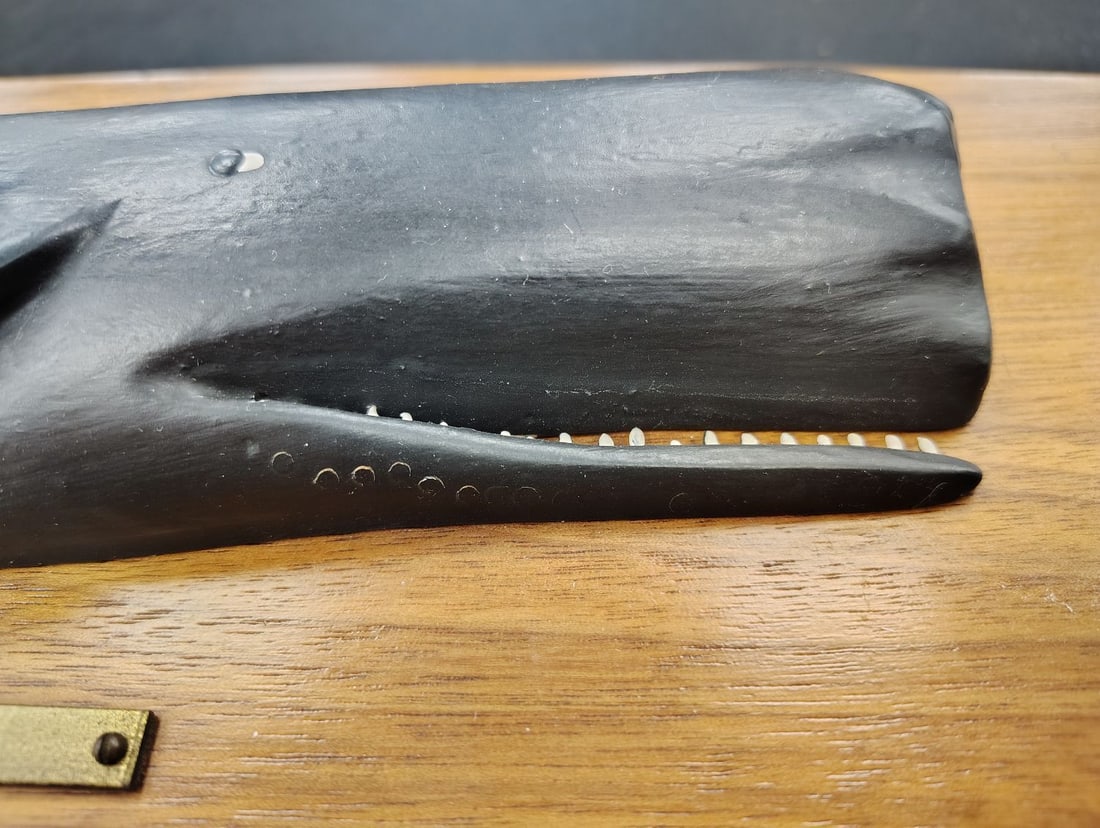 Carved Wood Sperm Whale Plaque - 5