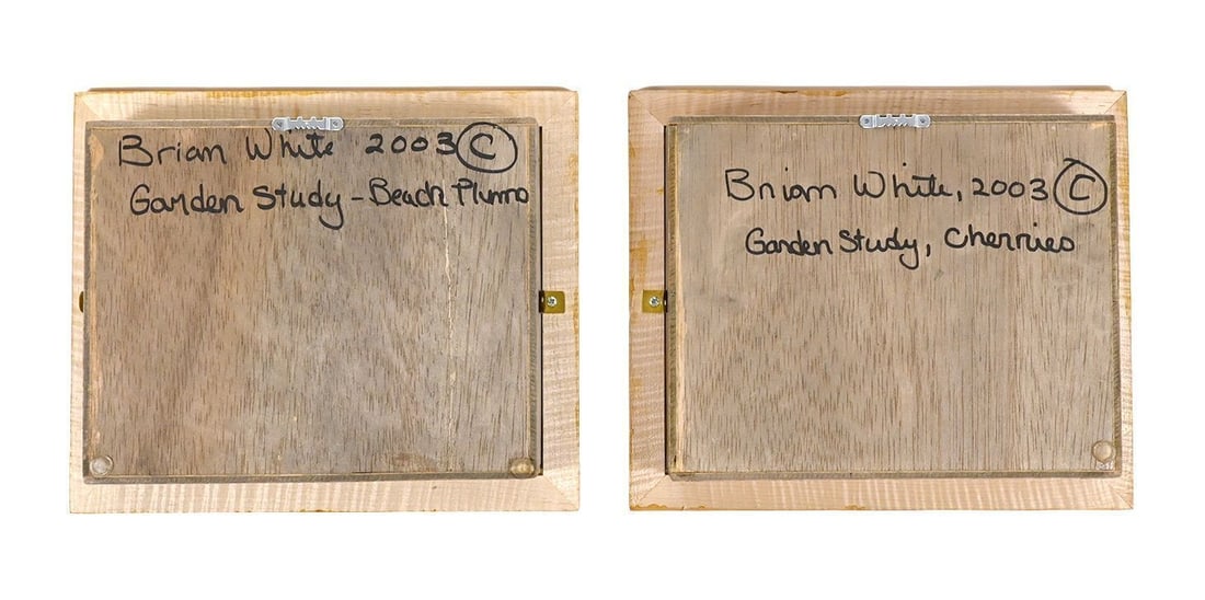 Pair of Velvet Fruit Shadow Box Sculptures in Tiger Maple Frames - 2
