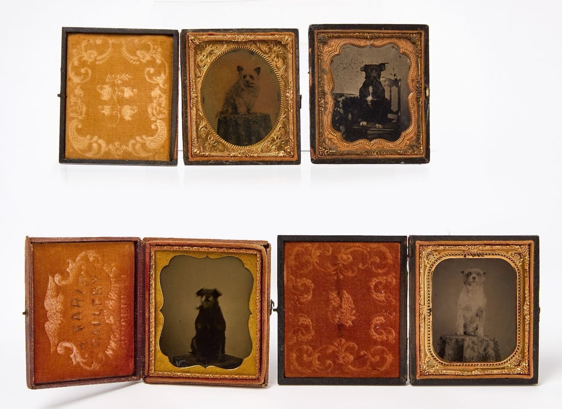 Four Cased Tintypes of Dogs (1 of 2)