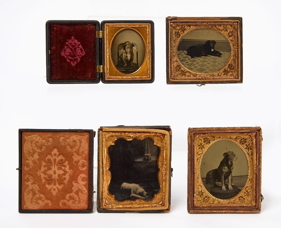 Four Dog Tintypes (1 of 2)
