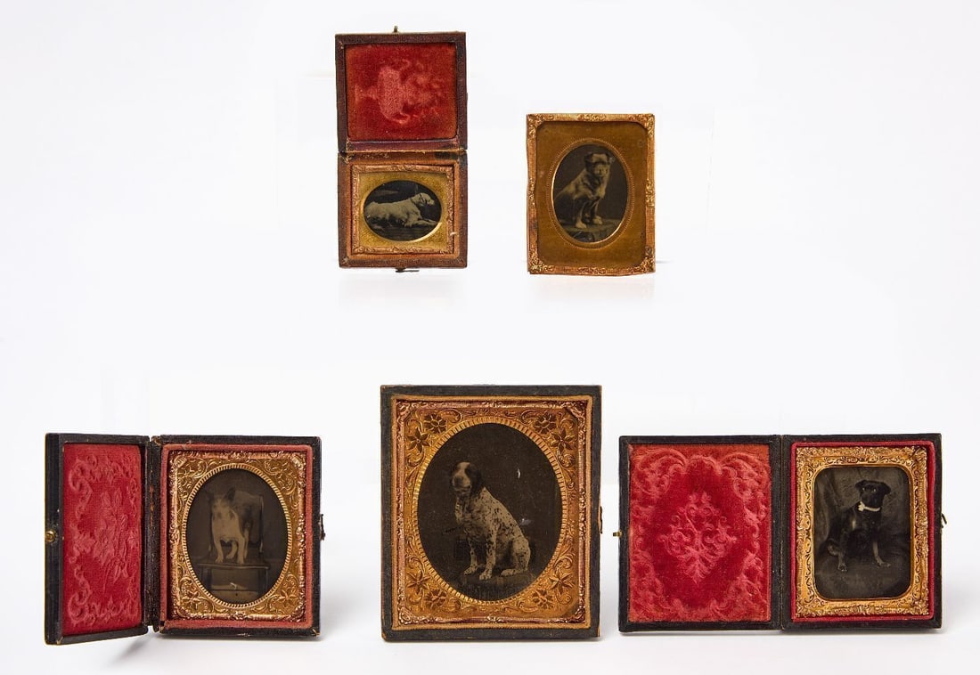 Five Dog Tintypes (1 of 2)