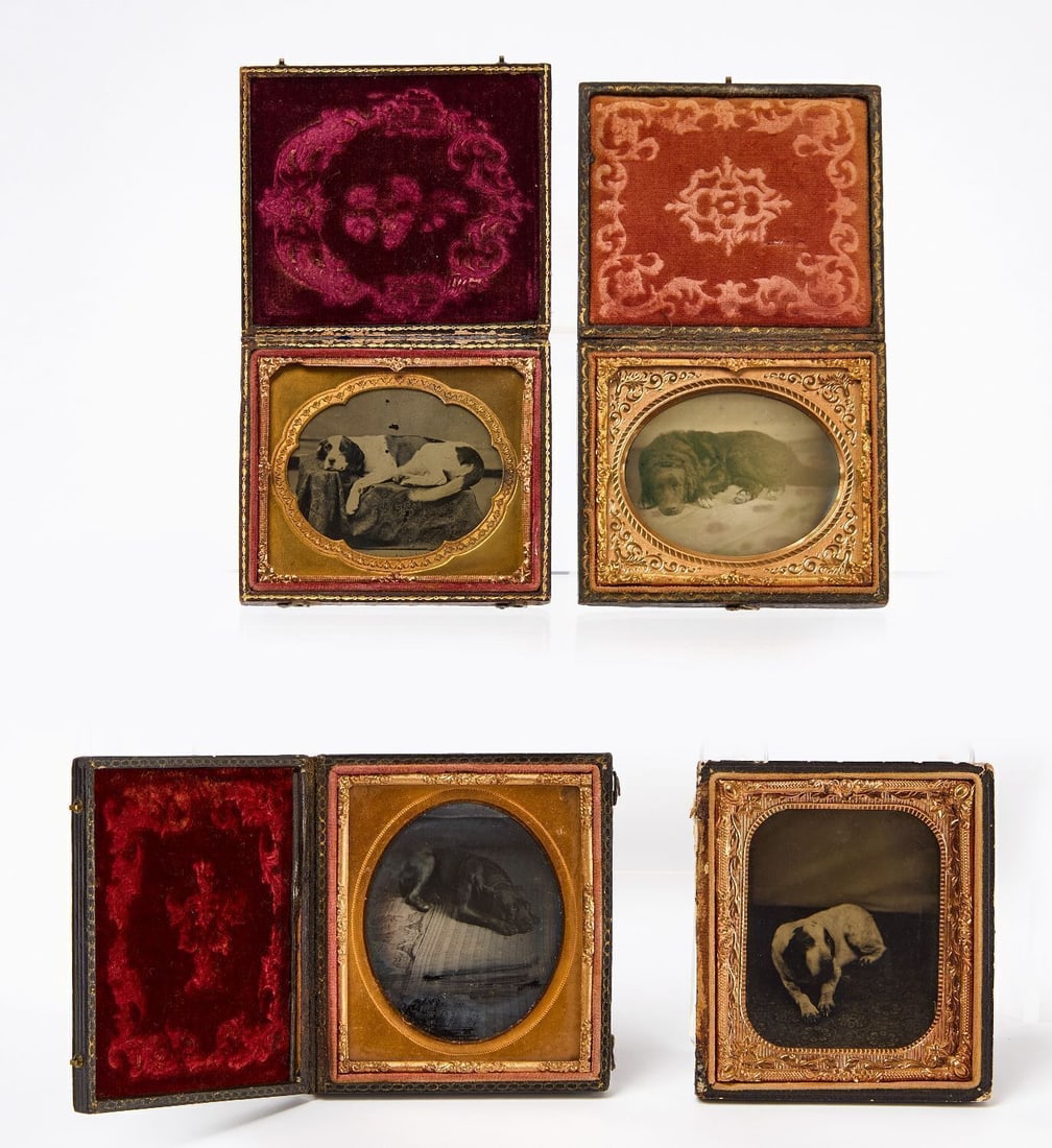 Four Dog Tintype Portraits: Four 1/6 plate cased tintype portraits of resting/laying dogs. Three of which housed in full leatherette cases; one housed in a half case. American, circa 1870. Case: H 3-3/4 in. W 3-1/4 in.