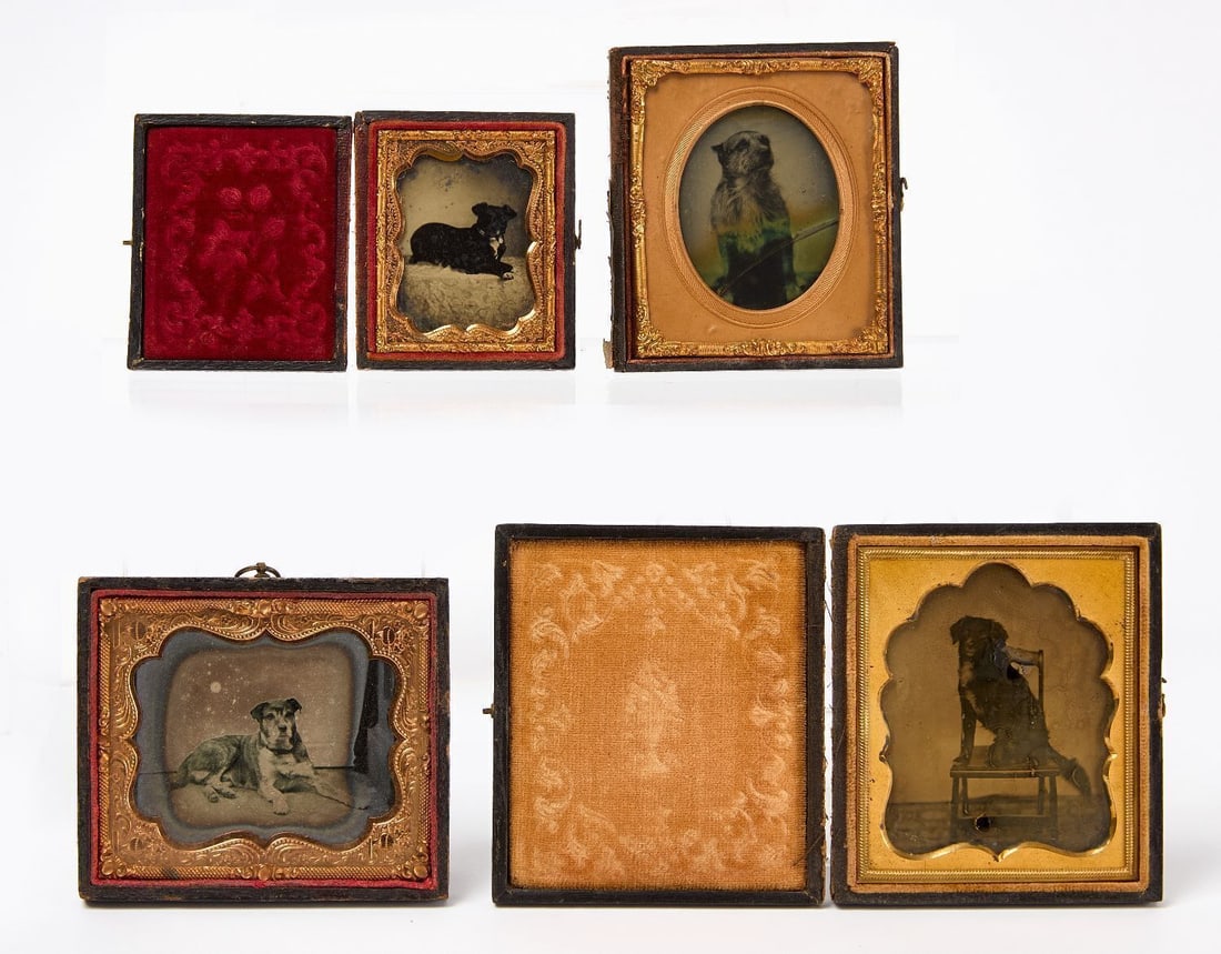 Four Ambrotypes of Dogs: Four cased clear glass ambrotype portraits of dogs. One 1/9 plate and three 1/6 plate images, Two housed in full cases, two housed in half cases. American, circa 1860. 1/9 Plate Case: H 2-3/4 in. W