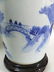 A chinese B-W vase - 10