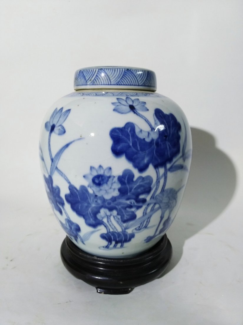 A blue and white porcelain pot, painted lotus of the 19 (1 of 13)
