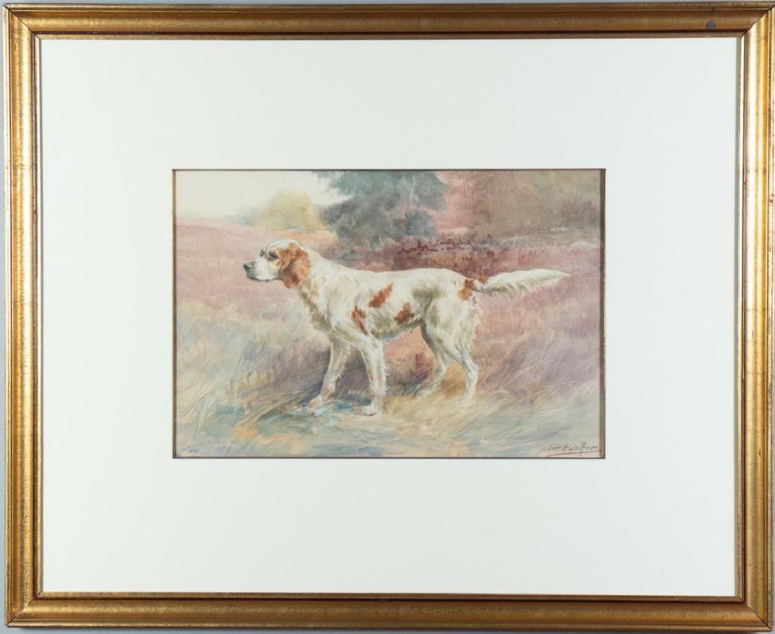 Edmund Osthaus, Setter in Field, Brown Spots (1 of 7)